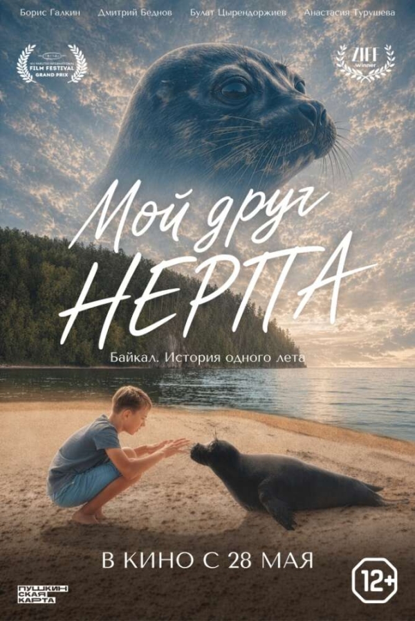 Мой друг нерпа